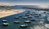 Chabahar fishery emerging as key driver of Iran blue economy